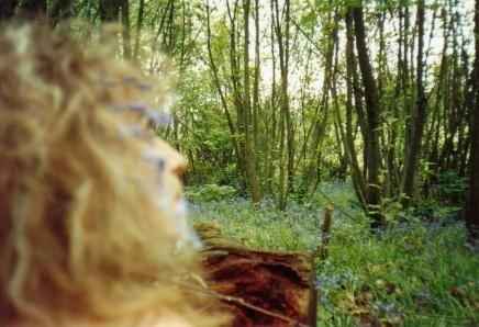 While Angels Watch, 1991